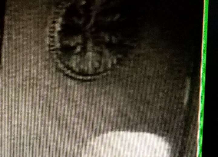 Orb